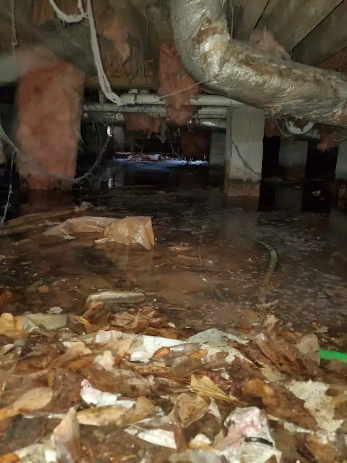 Crawl space flood assessment for Leak Detection & Repair in Lake Havasu City