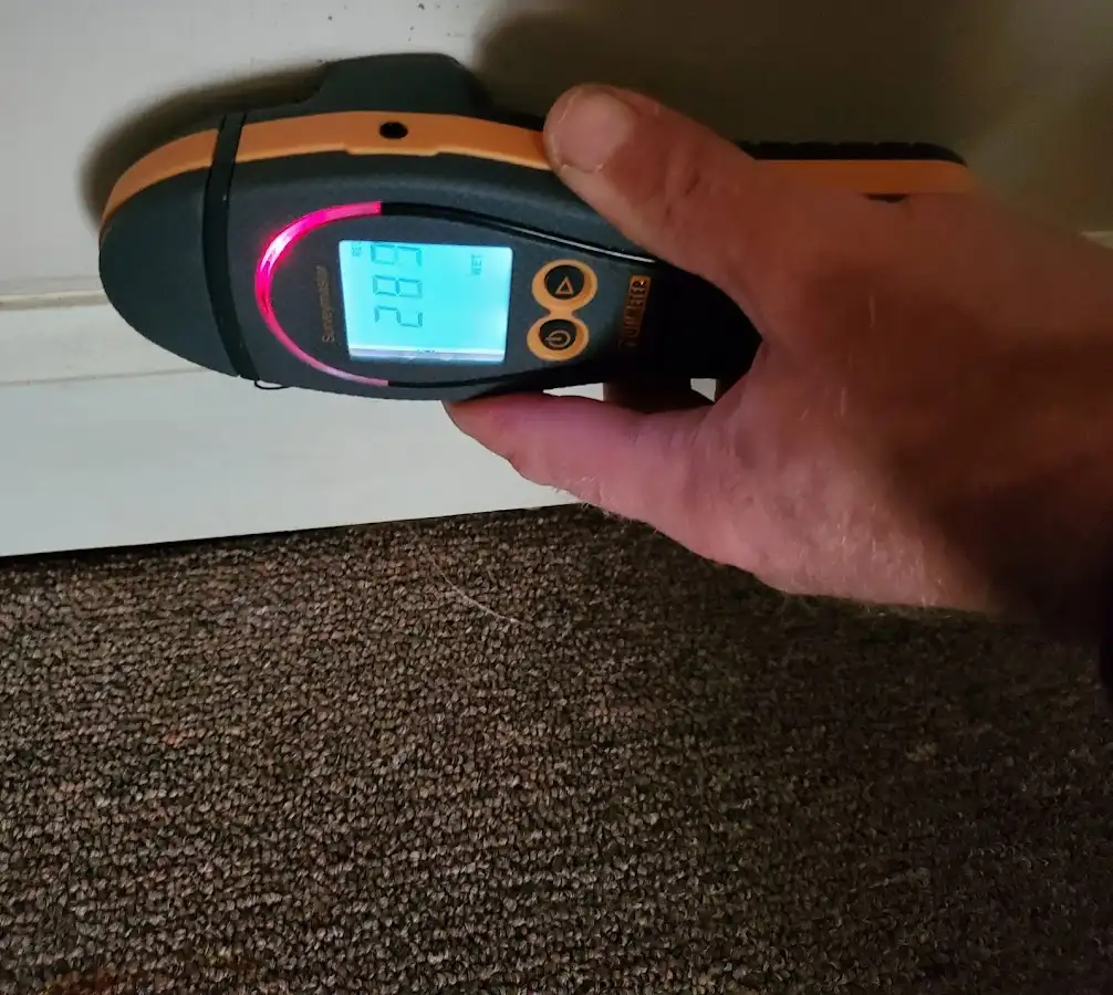 Moisture detection at baseboard during Sewage Cleanup & Sanitation in Lake Havasu City